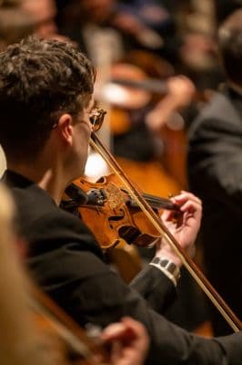 Alexander White, Viola and Violin teacher in Richmond